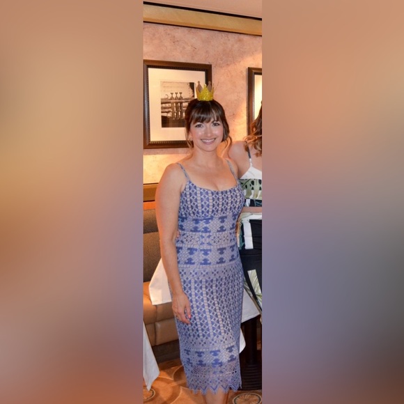 BCBG Max Azria Lace Overlay Midi Dress size 8 - Picture 2 of 16